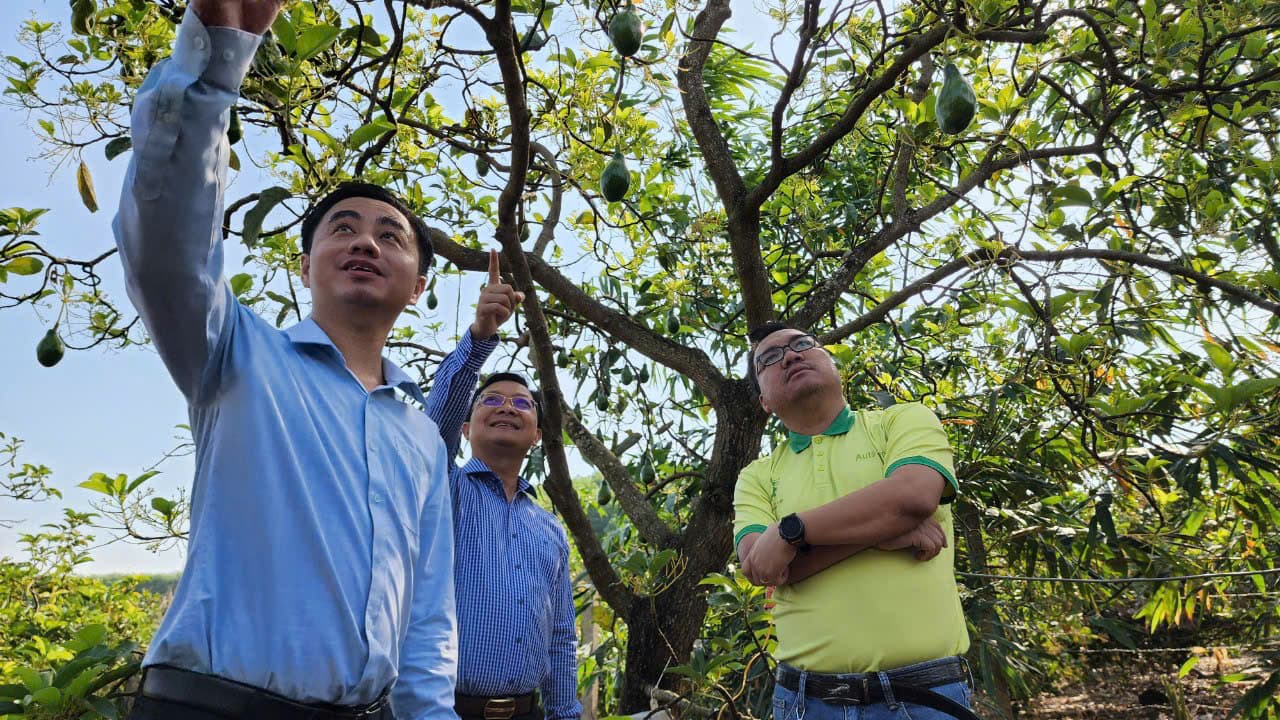 Tổng giám đốc Đặng Dương Minh Hoàng và tập thể nhân viên